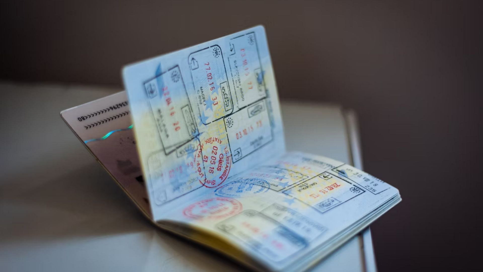 Lyle went to Mexico claiming to look for Lesley (Image via Unsplash)